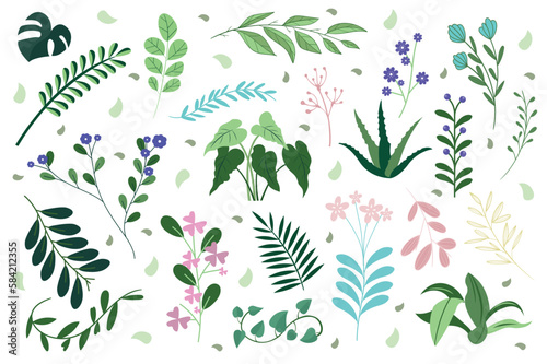 Set of plants concept in the flat cartoon style. Images of various green plants found in forest and fields. Vector illustration.