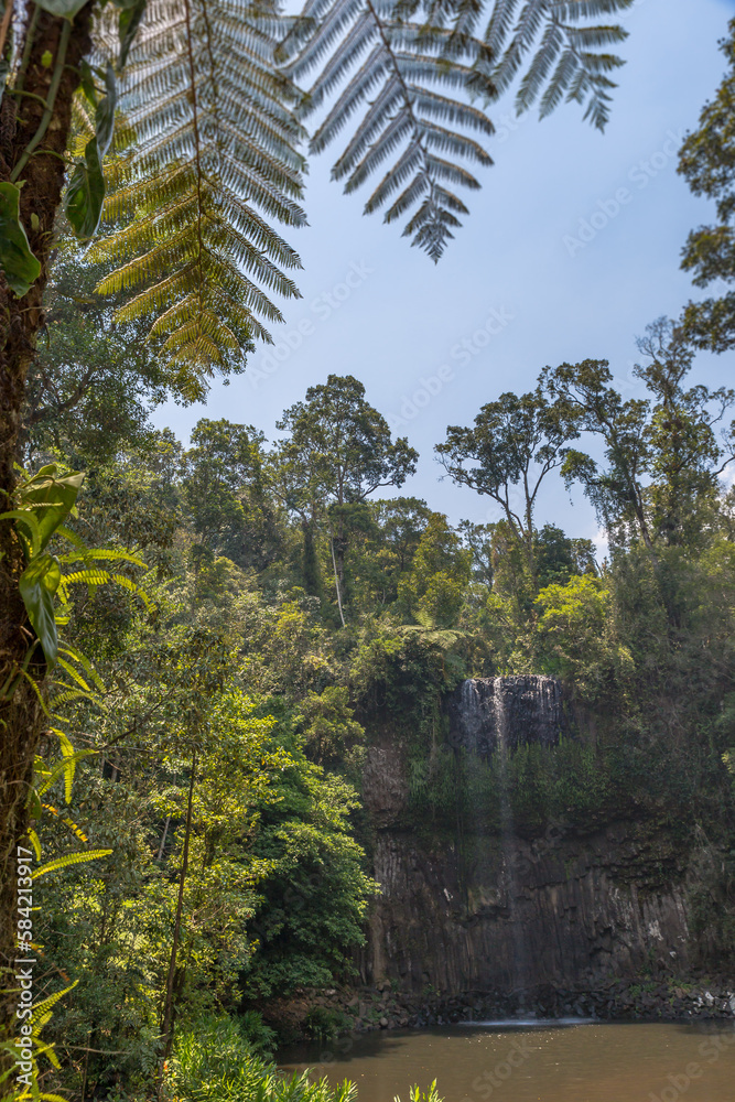 Fototapeta premium Milla Milla Falls, Atherton Tablelands, Queensland, Australia.