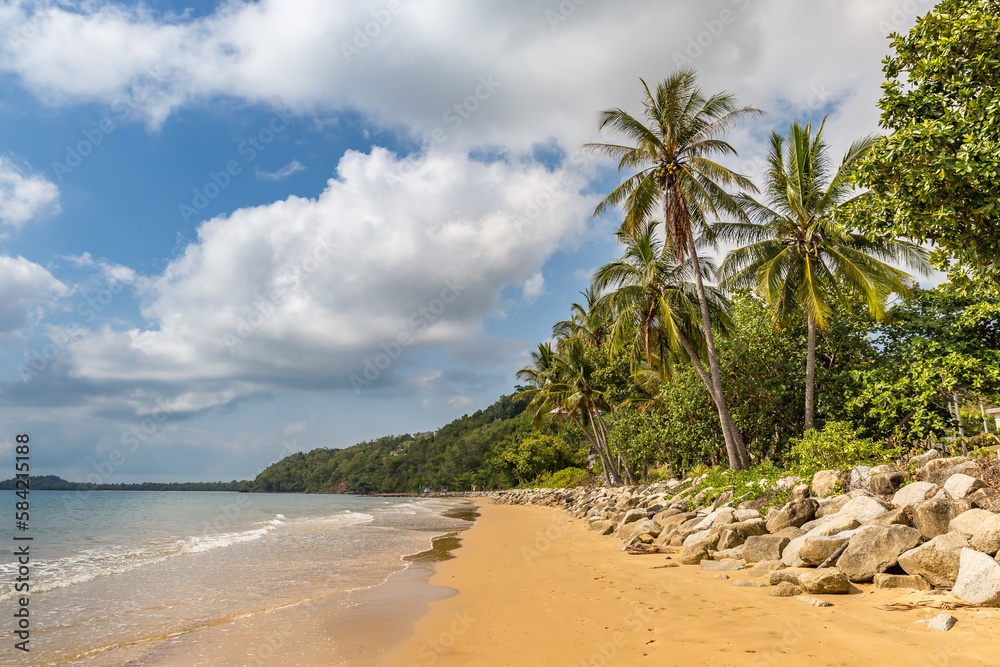 Tropical Coast with white Beach and Palm Trees of Mission Beach, Queensland, Australia .