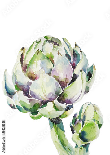 Artichoke watercolor illustrtion. Isolated on white background. Food concept.