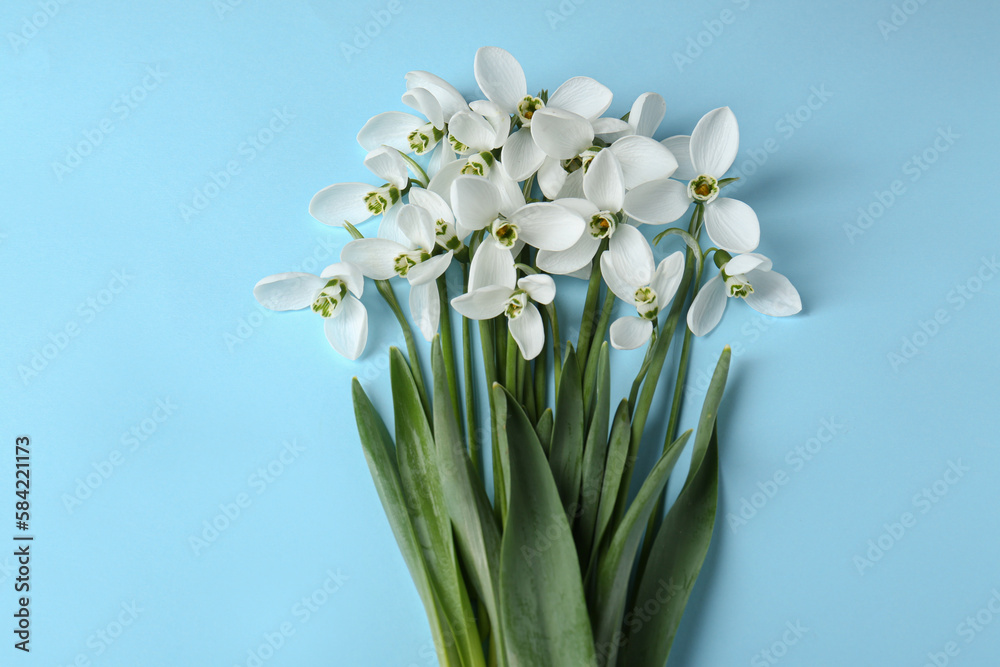 Fototapeta premium Beautiful snowdrops on light blue background, flat lay