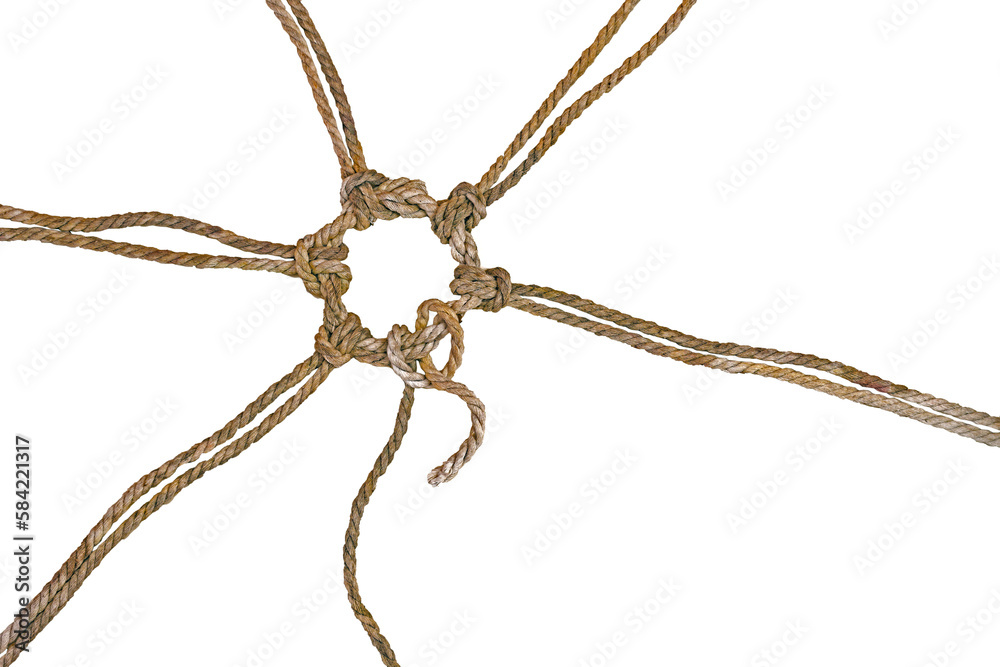 Rustic ropes are joined together in a knotted circle, one of them still has a loose end, concept for cohesion and team building, isolated on a white background, copy space