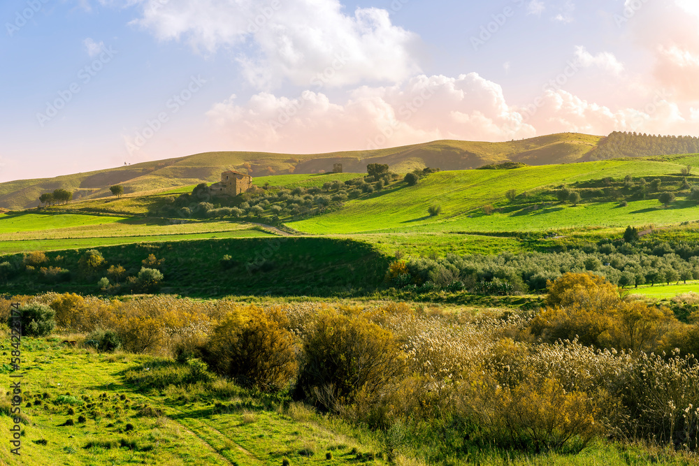 green landscape of spring field with green young grass and amazing hills on background