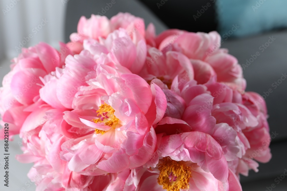 Beautiful bouquet of pink peonies indoors, closeup