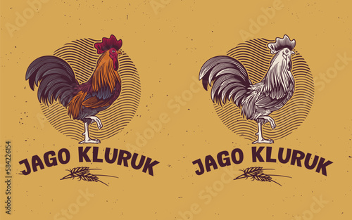 Rooster, poultry vintage logo, retro print, poster for Butchery meat shop with text typography