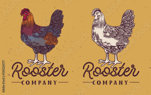 Rooster, poultry vintage logo, retro print, poster for Butchery meat shop with text typography (ID: 584226377)
