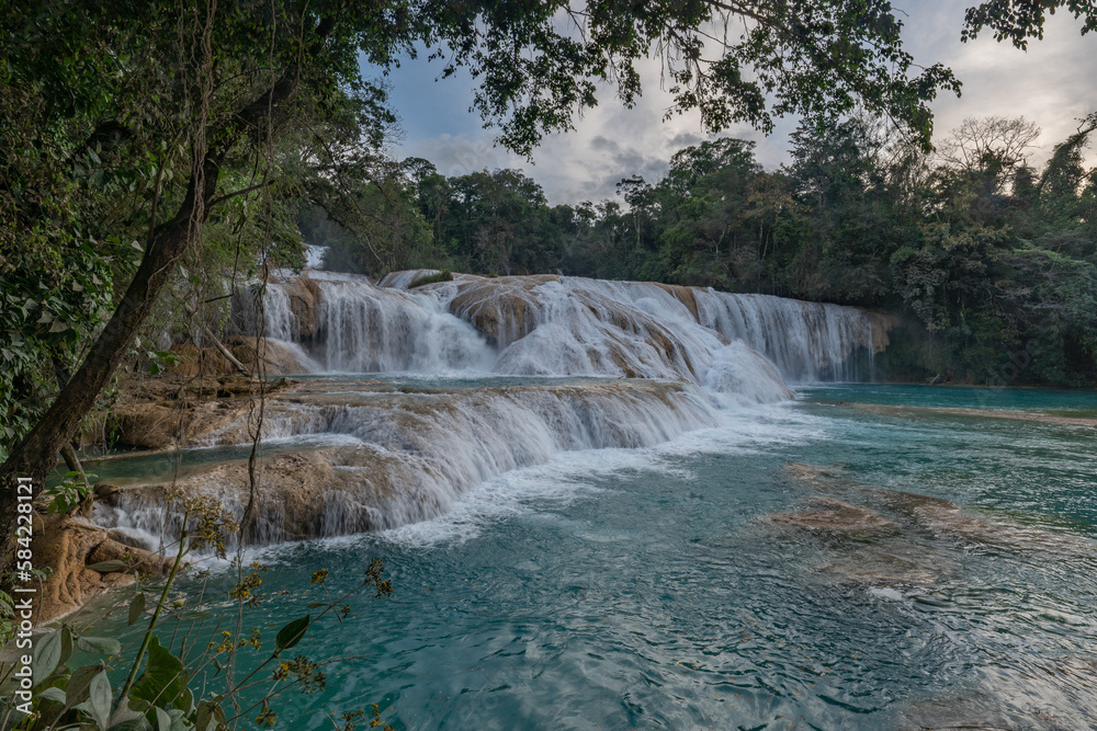 Fototapeta premium The Agua Azul waterfalls, a series of cascades of varying heights and widths, get their name from the colour of the water, which has a bright blue hue when accumulated,Mexico.