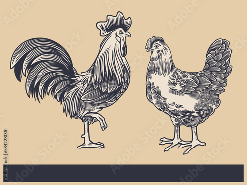 Poultry Farm Vintage Illustration. Engraved Chicken, Roster, baby chick and egg illustrations. Rural natural bird farming. Poultry business. (ID: 584228139)