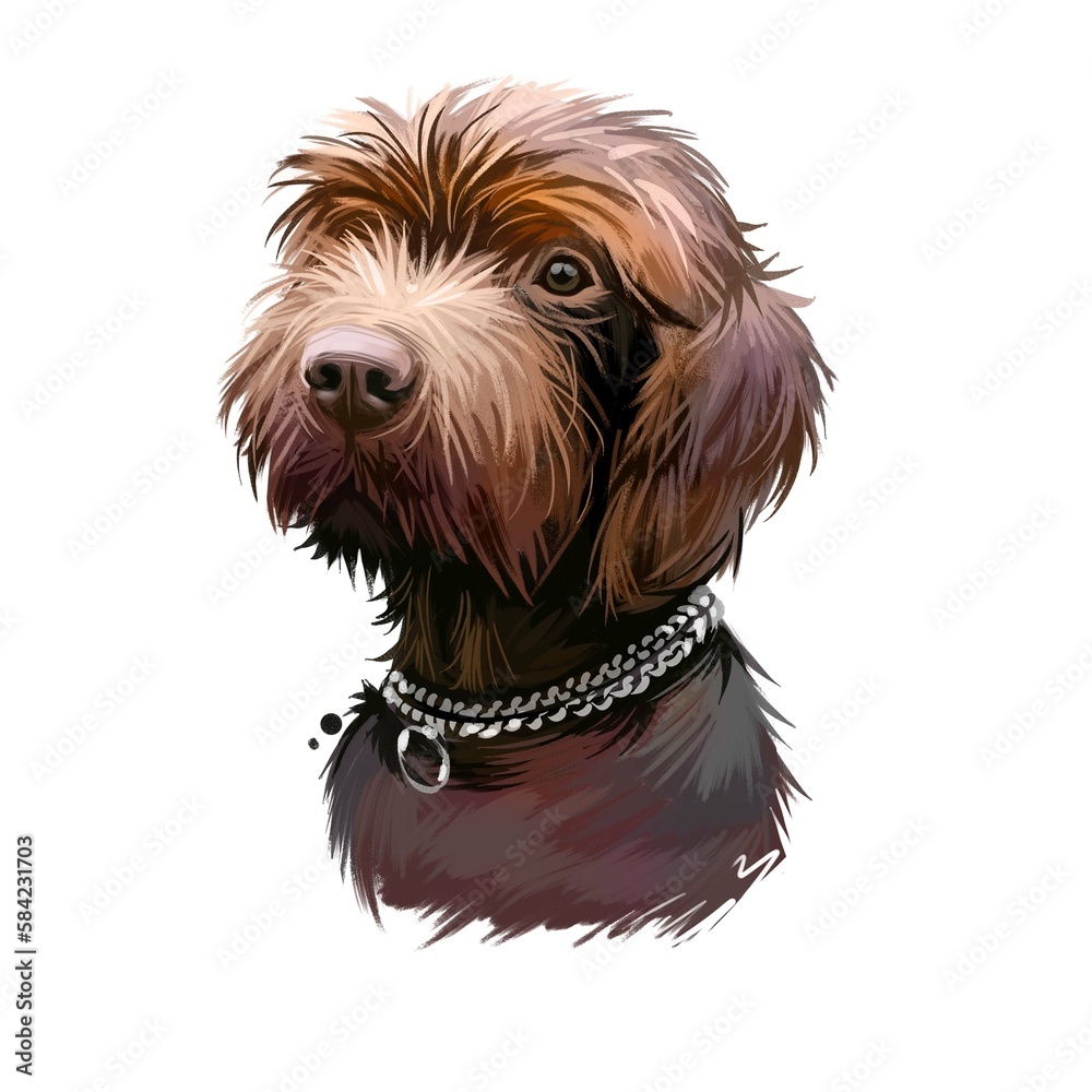 Pudelpointer dog portrait isolated on white. Digital art illustration ...