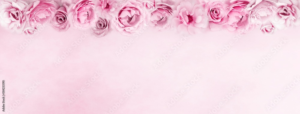 soft pink and purple roses banner or header design background with  copy space for text