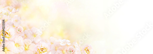 mix of flower in soft romance yellow background for header or banner design with copy space