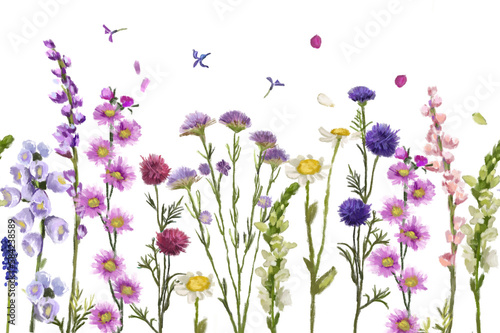 Flowers pattern, floral pattern. Purple lilac flowers, daisy, wildflowers, isolated on white background. Seamless pattern. Creative floral background, elements for design, postcards, flower frame