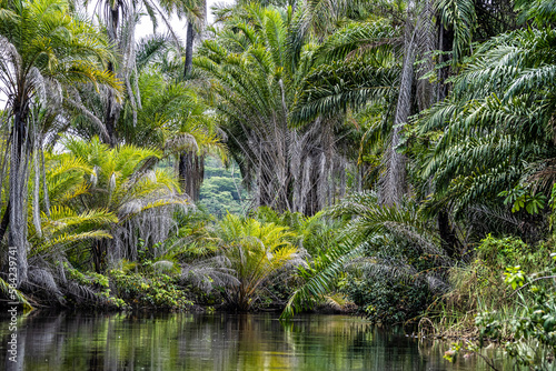 Canoe tour on the Pantanal Marimbus in Andarai  Bahia  Brazil  Chapada Diamantina