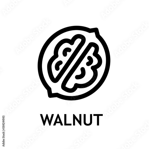 Organic nut line icon. Sign for mobile concept and web design. Peeled walnut outline vector snack. Symbol, logo illustration. Vector graphics