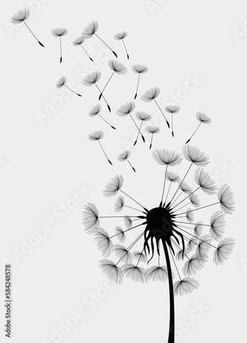 Fototapeta Naklejka Na Ścianę i Meble -  Vector illustration dandelion seed blown in the wind.