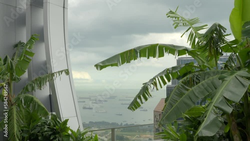 Singapore sea view from CapitaSpring Sky Garden rooftop scenery photo