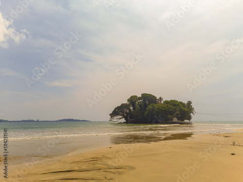 Beautiful sand beach and turquoise water. Summer holiday beach background. Ocean waves on empty tropical sand beach. Vertical background © acidmit