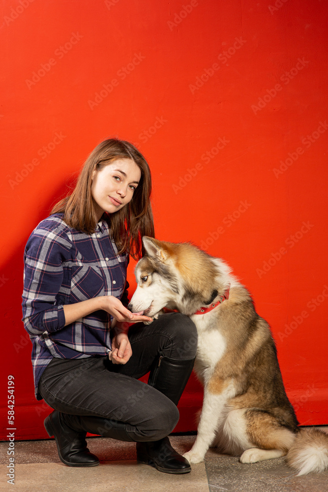 Women Poses in Photo studio with Best friend Husky Dog Women Poses in Photo studio with Best friend Husky Dog