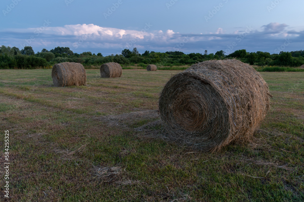 Round hay bales in flat field during blue hour, roll bales in field at dusk and bright cloud in sky, calm rural landscape Round hay bales in flat field during blue hour, roll bales in field at dusk and bright cloud in sky, calm rural landscape