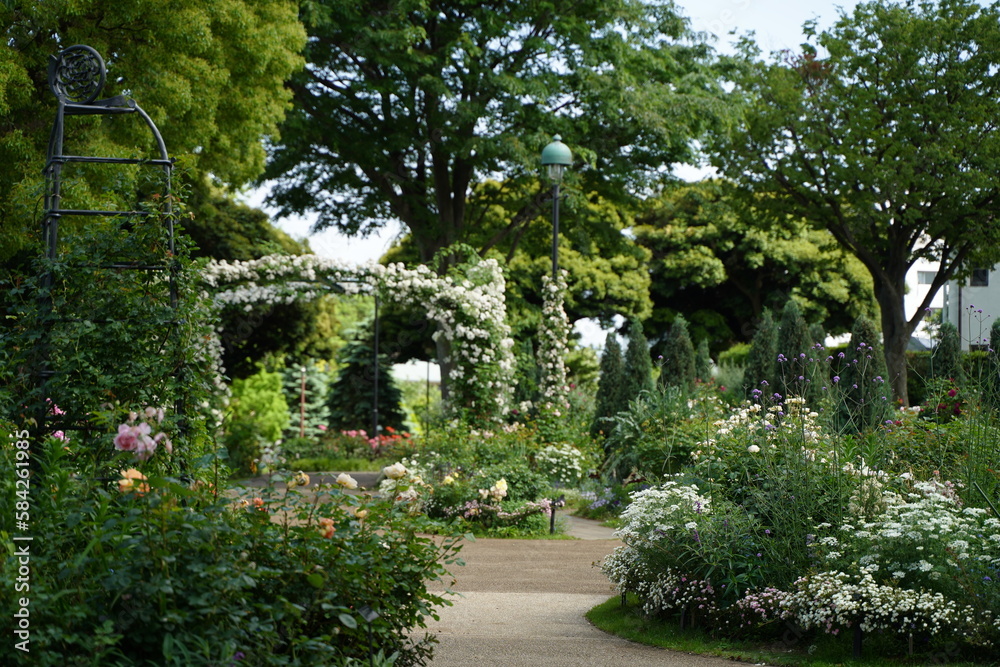 横浜, 神奈川, 日本, 風景, 景色, 春, 野外, 新緑, 観光地, 観, 公園, 海, 船, 人, アーチ, 噴水, バラ苑, ばら園, バラ, 沢山, 綺麗, 見頃, フラワー, ガーデン, 空, 青空, 薔薇, ばら, バラ, 花, ピンク, 赤, 黄色, 植物, 美しい, 春, 港の見える丘公園, 光, ツアー, 自然