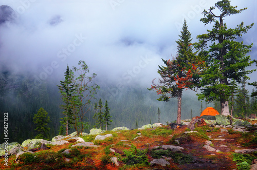 Dizzy nature scenery: cedar pines, stones, moss, orange tent on mountain slope at the background of wild coniferous forest and fog in Ergaki national park, Sayan, Krasnoyarsk region, Siberia, Russia photo