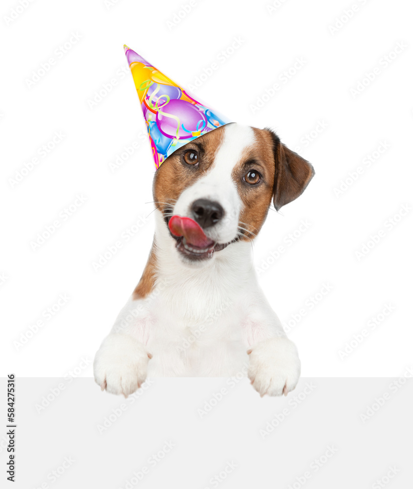 Licking lips Jack russell terrier puppy wearing party cap looks above empty white banner. isolated on white background