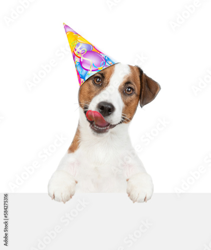 Licking lips Jack russell terrier puppy wearing party cap looks above empty white banner. isolated on white background © Ermolaev Alexandr