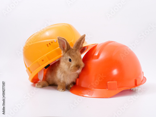 builder's day, symbol of the year easter bunny in a construction helmet on a white background