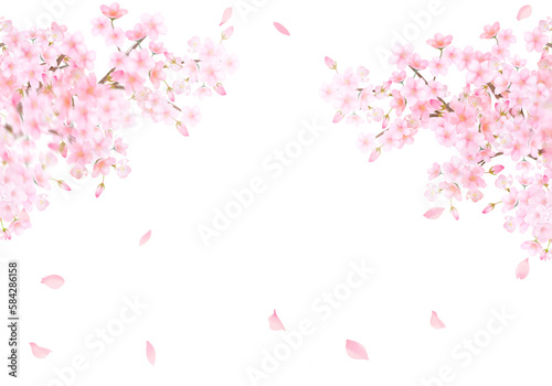 桜の木と花びら舞い散る春のイメージ白バックイラスト素材