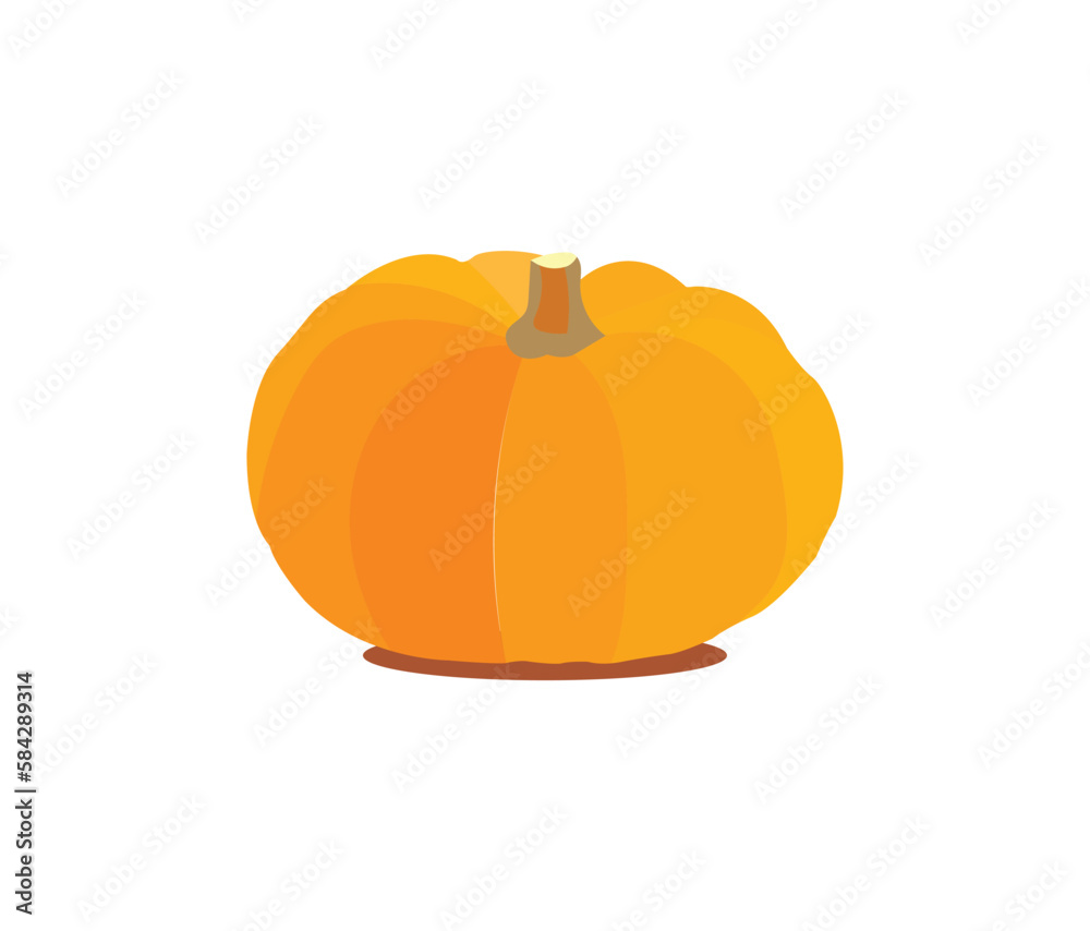 Obraz premium Yellow sweet pumpkins look beautiful