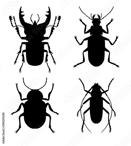 Set of black symmetrical silhouettes of beetles, top view, vector. isolated on white background. Stag beetle, barbel beetle, leaf beetle, ground beetles.