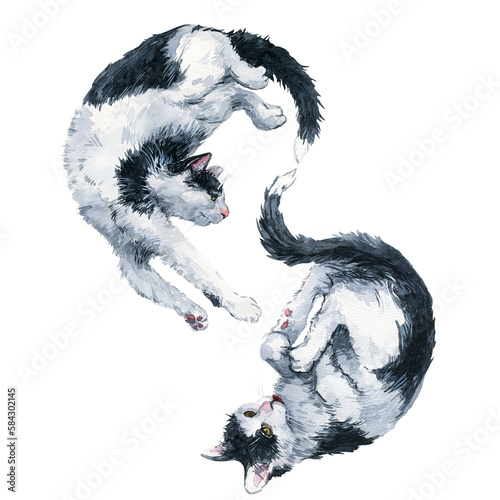 Fototapeta Naklejka Na Ścianę i Meble -  Two playing bicolor black and white cats make infinity symbol. Watercolor painting isolated on white background.