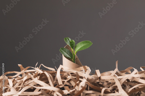 Save world and concept for plant the tree, Young green tree pops out of brown cardboard on pile of scrap paper with dark background, Can use for reuse, recycle and environment concept. photo