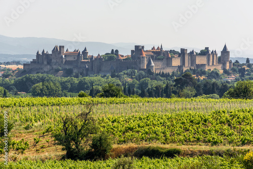 Scenic view of Carcassone medieval city in the middle of vineyards in France against summer sky 