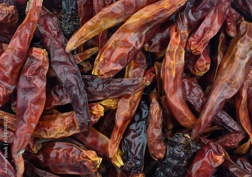 Group of Vietnamese chili peppers close macro view. Group of Vietnamese chili peppers close macro view.