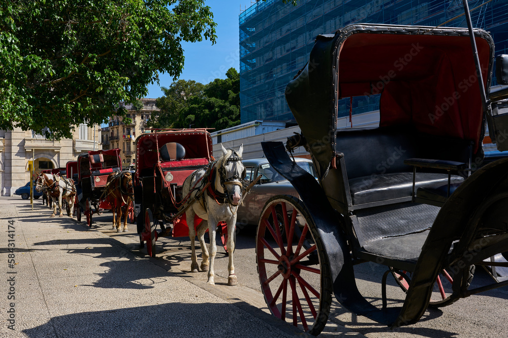 Horse-drawn carriage ride: A charming and authentic way to explore Havana