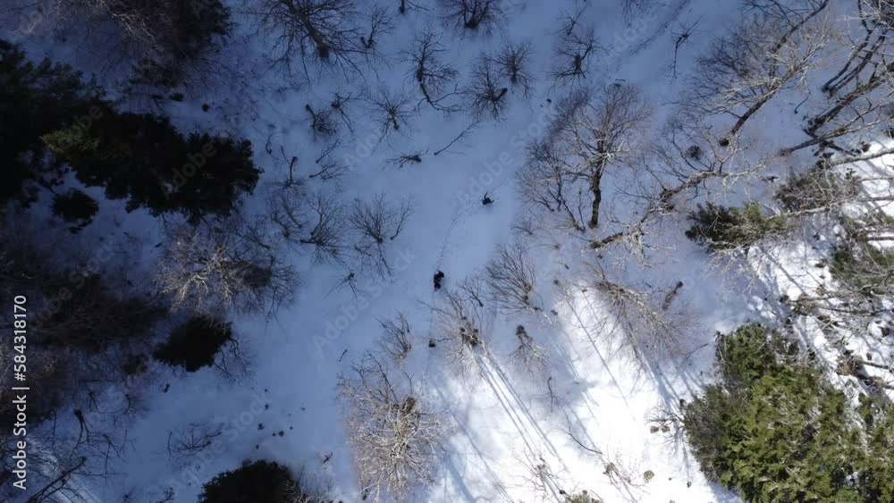 Randonnée dans la neige