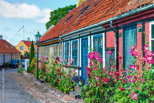 Ronne Town streets growed by colorful hollyhock flowers on Bornholm island Denmark. photo
