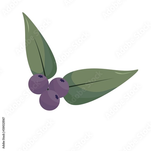 Cute berries on white background 