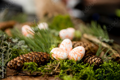 Easter theme. Religious holiday. Easter egg composition with natural forest attributes. Moss, pine cone, pine branch. © Birute