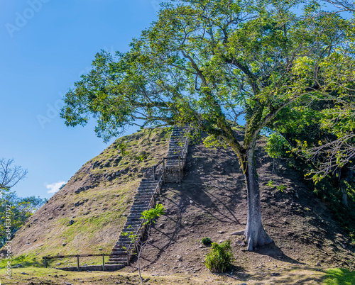 A view up a burial mound in the ancient Mayan city ruins in Belize on a sunny day photo