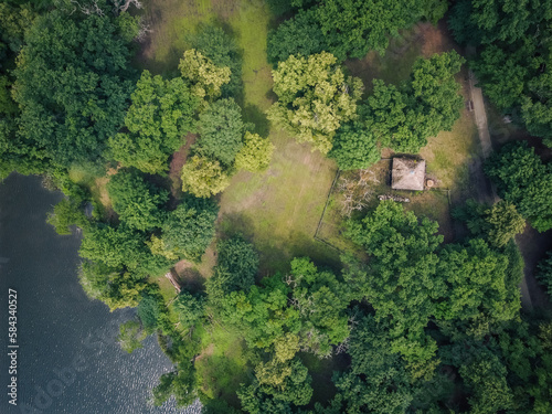 forest island, aerial, trees and lake