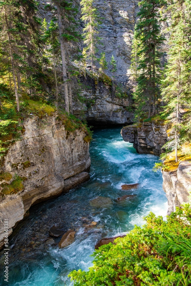 Natural view of a river in a rocky forest