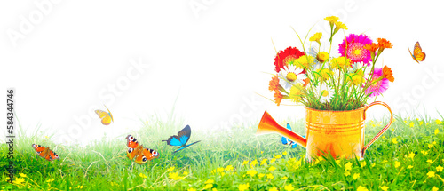 Colorful wild flower bouquet in a watering can with butterflies.