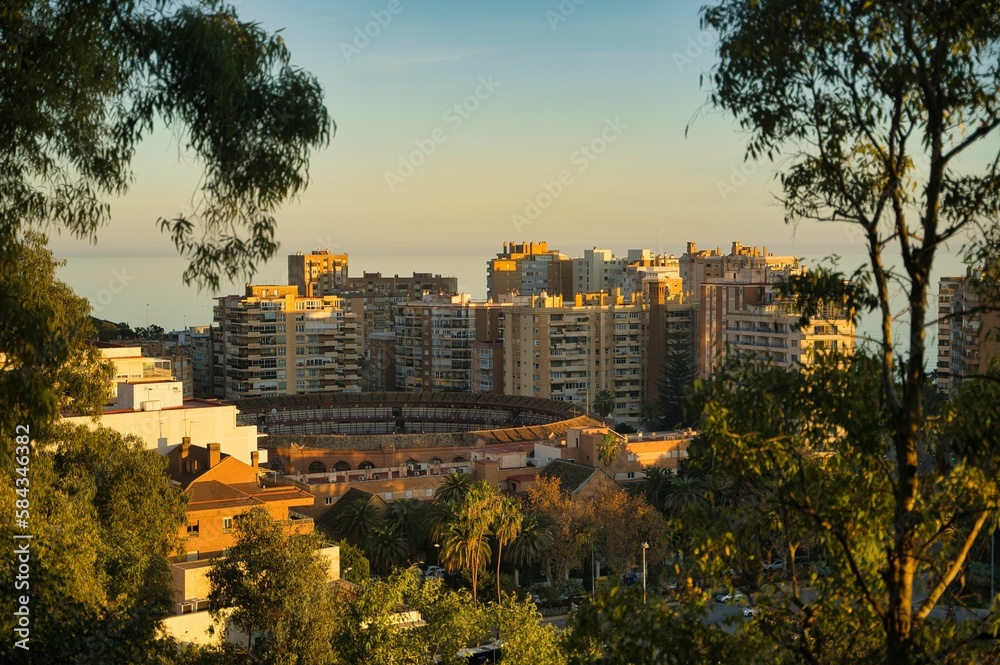 Obraz premium Beautiful view of apartment buildings in a town with tree branches in a foreground