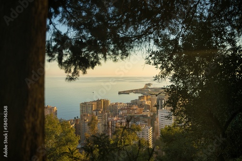 Beautiful view of apartment buildings in a town with tree branches in a foreground