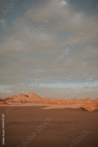 landscape in the desert