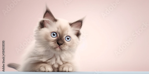 Small taby cute kittens peeking out with copy space isolated on pink background. Generative AI photo