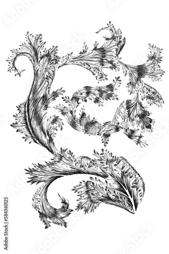 Wallpaper Mural Vintage ink hand drawing  acanthus leaf Scroll  Torontodigital.ca