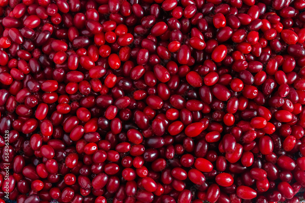 Many ripe dogwood berries lay on the table. Many ripe dogwood berries lay on the table.